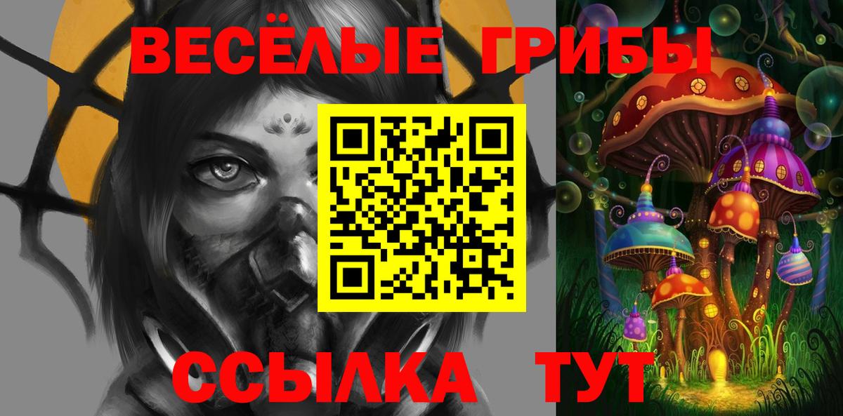 Псилоцибиновые грибы мицелий  Псилоцибиновые грибы мицелий  Вход с VPN  Барабинск 